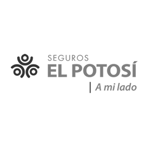 Seguros El Potosí